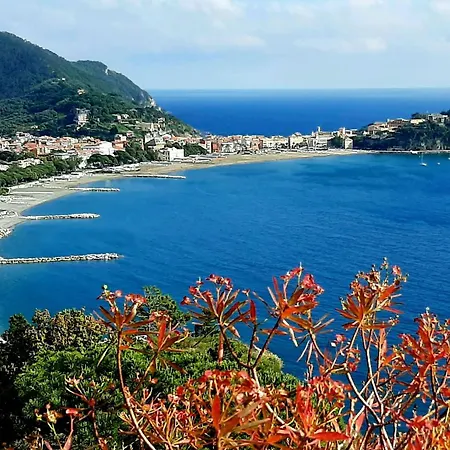 Appartement Silent Bay Historical By Interhome *